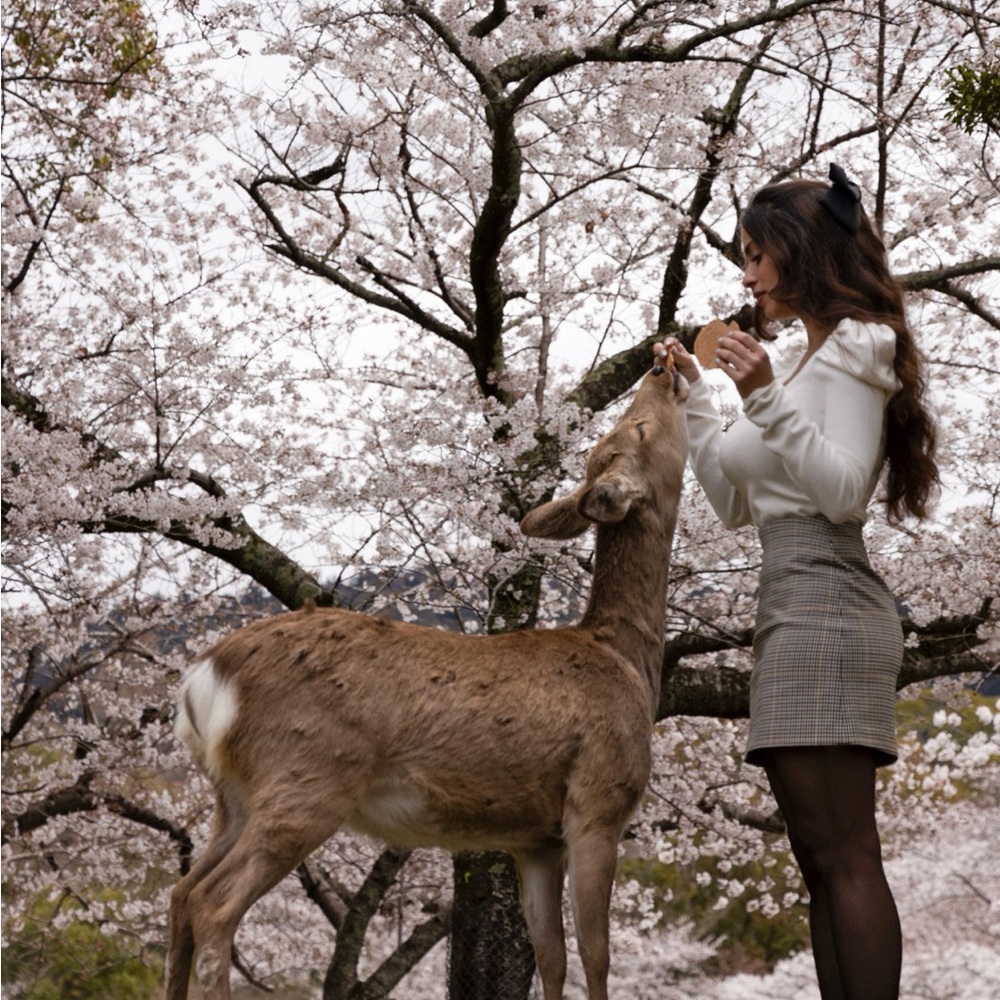 Song of Style Blossom Sweater